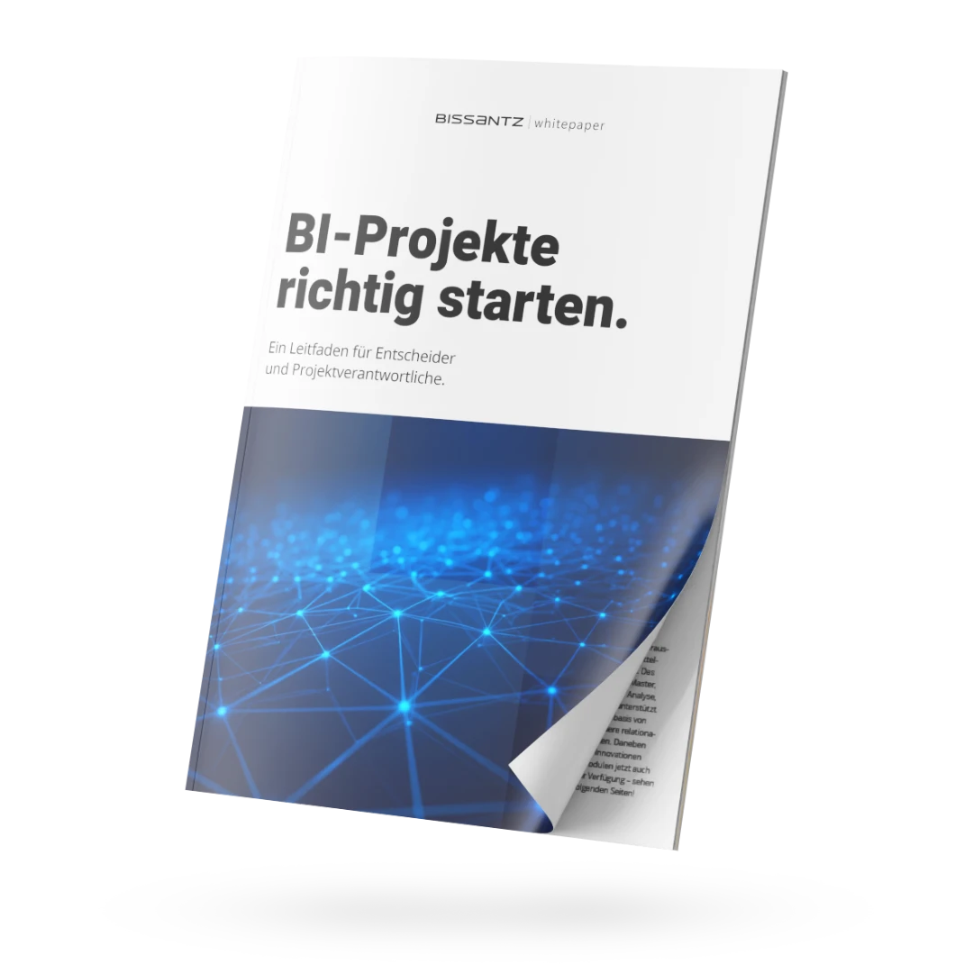 BI-Projekte starten - Whitepaper als Leitfaden für Entscheider und Projektverantwortliche herunterladen
