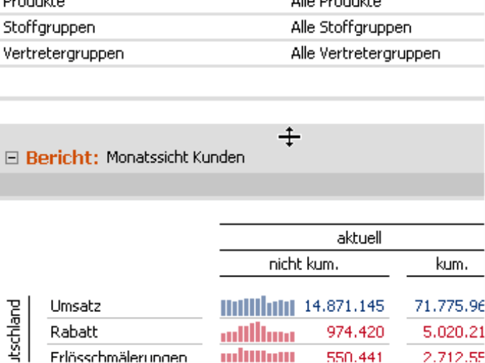 Doppelklick auf die graue Linie des Berichts Monatssicht Kunden
